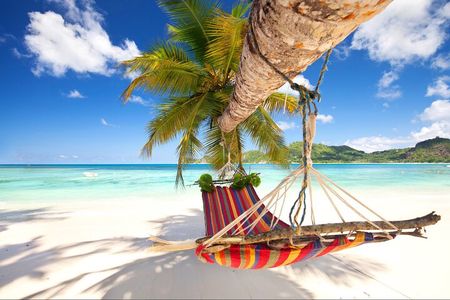 Full Day Saona Island Day Trip From Punta Cana