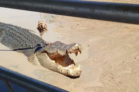 Darwin: Litchfield & Jumping Crocodile Cruise, 4WD, max 6 guests