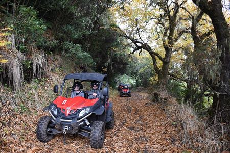 Buggy Tour The Volcanoes 5 Hours in La Palma