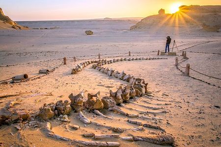 Private Tour in Fayoum for 2 Days and 1 Night 