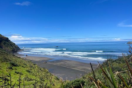 Auckland City and West Coast Black Sand Beach Full Day Tour