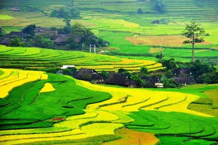Sapa and Ha Giang Explore Luxury Tour 6 Days Full Options