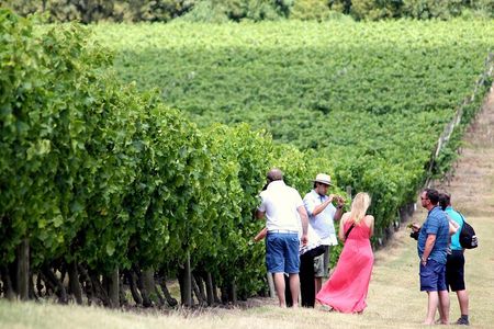 Pizzorno Winery with Lunch and Wine Tasting
