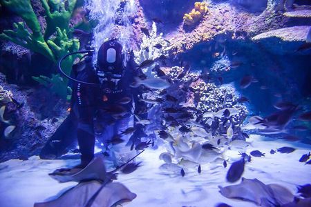 Alexander Waterfall and Antalya Aquarium Day Tour from Side