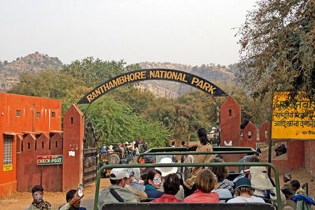 Jaipur to Ranthambore National Park Private One Day Trip