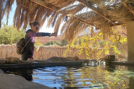Colored, Closed, Hamata, White, Canyons, and Khudra Spring Oasis