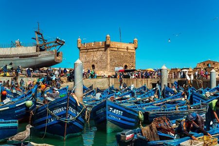 Private Day Trip to Essaouira from Marrakech
