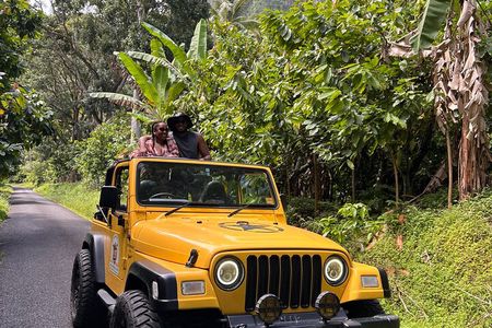 Half Day Private Tour in St. Lucia Jeep Wrangler