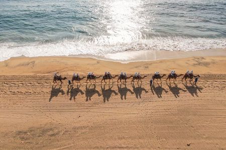 Sunset beach Camel ride with Mexican Buffet and Tequila Tasting