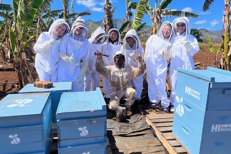 Bee Farm Ecotour and Honey Tasting