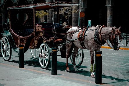 Private Photo Session in the City of Guadalajara