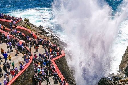 Private Shore Excursion: Horseback Ride + Bufadora & Market