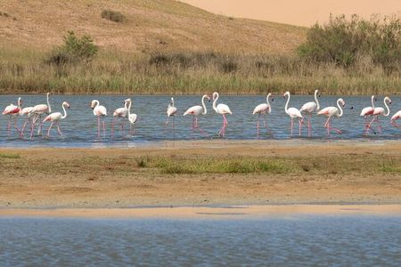 Private Tour to Souss Massa National Park