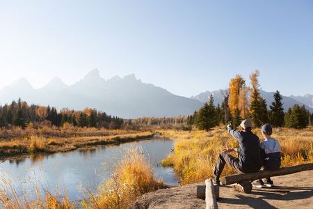 Grand Teton Wildlife and Scenery Tour with Lunch