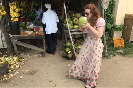 Private and Customize Highlight Tour to Montego Bay from Falmouth