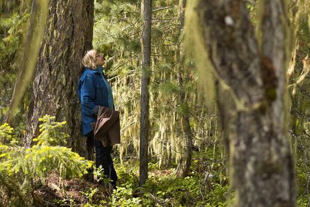 Forest Bathing: Discover the Magic and Awe of Whistler's Forests
