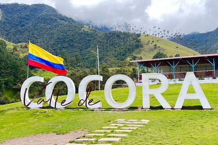 Salento, Cocora and Filandia Private Tour from Pereira or Armenia