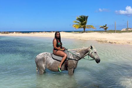 Horseback Ride and Swim Guided Tour from Montego Bay 