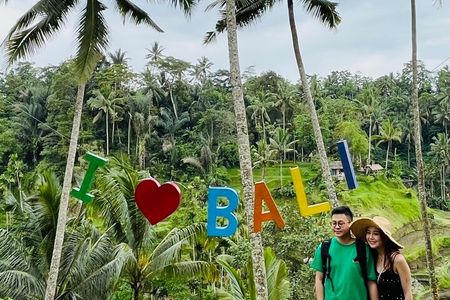 All Inclusive Ubud Tour with Rice Terrace, Waterfall and Temple