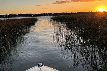 Customized Tigre Delta Tour lunch and drink included