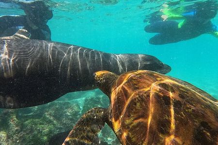 Santa Fe Island & Playa Escondida Snorkeling Day Trip