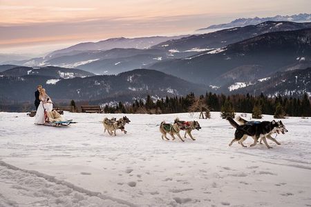 Feel the Magic of Winter with Thrilling Arctic Dog Sled Rides