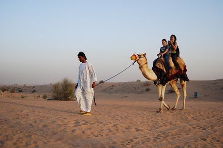 Camel Trekking in Open Red Dunes Desert