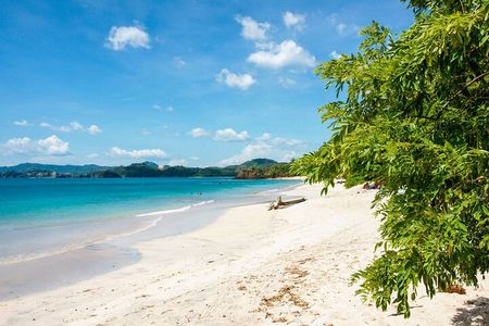 Full-Day Adventure to Manuel Antonio National Park from San Jose