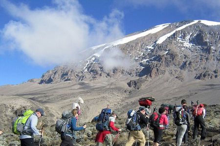 8 Days Mt Kilimanjaro Climb - Lemosho Route