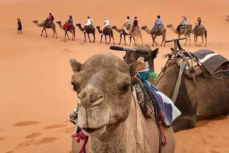 4 Days Desert Tours from Marrakech to Merzouga