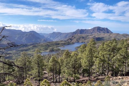 Hiking experience in the north of Gran Canaria