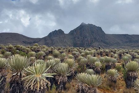 The biggest paramo on earth: Sumapaz