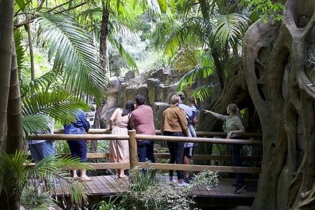 Daytime Scenic Rim Glow Worm Tour + Hop on Hop off Bus