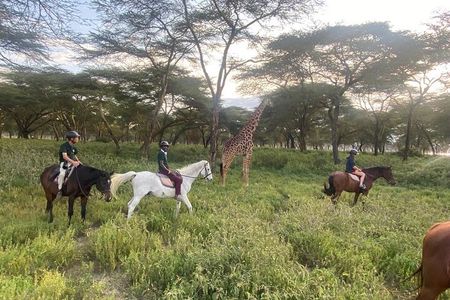 6 Day Nairobi-Amboseli-Maasai Mara Private Semi Luxury Tour