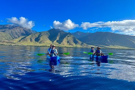 Kayak Whale Watch