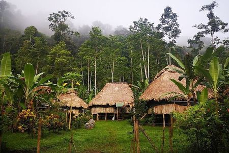 BRIBRI Chocolate tour & Cahuita National park from San Jose