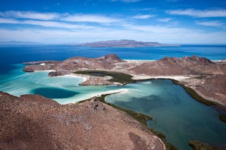 Sea Lions & Mega-Paddleboard Tour in Balandra