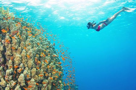 Ras Mohamed & White Island luxury Yacht Trip Sharm el Sheikh