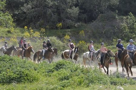 Kusadasi Horse Riding On Beach And Through The River