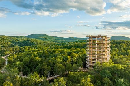 Access to Mont-Tremblant Treetop Observatory and Walk