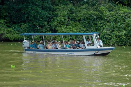  Private Tortuguero Canals Tour & Puerto Limón Highlights
