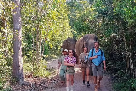 Kulen Elephant Forest and Tonle Sap Lake by Private Tour