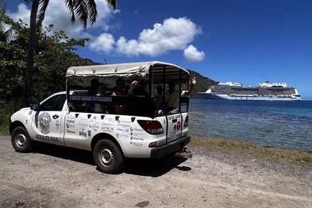 Moorea Cruise Ships: 4x4, Belvedere, Pineapple, & Magic Mountain
