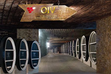 Visit the Largest Winery in the World and Manuc Bei Mansion