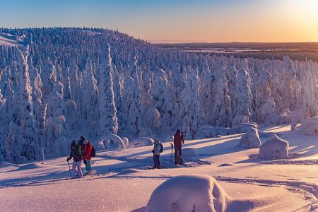 Full-Day Snowshoeing Adventure in Amethyst from Rovaniemi