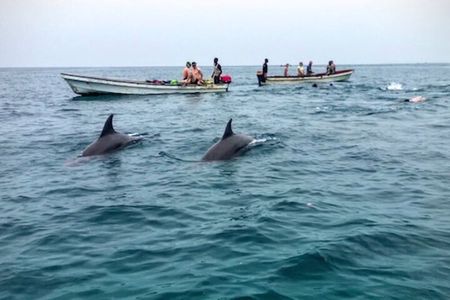 Mnemba Island Swim with Dolphins and Snorkeling (Sea food Lunch)