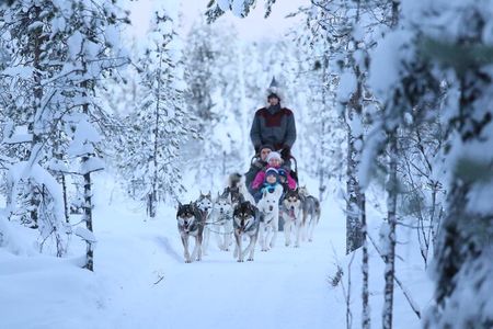 12-14KM Self Driven Husky Sled Adventure in Rovaniemi