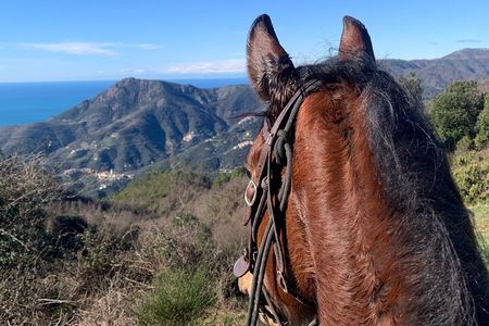 Horse ride on the coast of Monterosso al Mare Cinque Terre