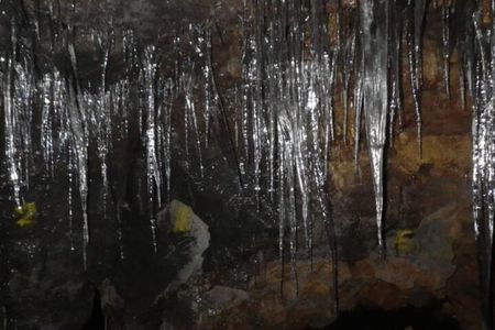 Exploring Mt Fuji Ice Cave and Sea of Trees Forest