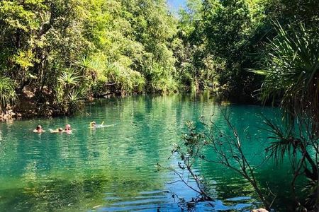 Berry Springs + Crocodile Cruise + Crocodlylus Wildlife Park